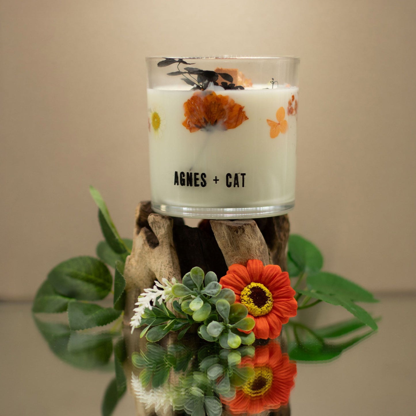 Vela de cera de soja botánica Agnes + Cat - Lakeland Mocha